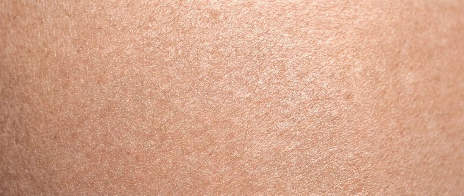 Illustrative rendering of hydrated, oxygenated skin texture